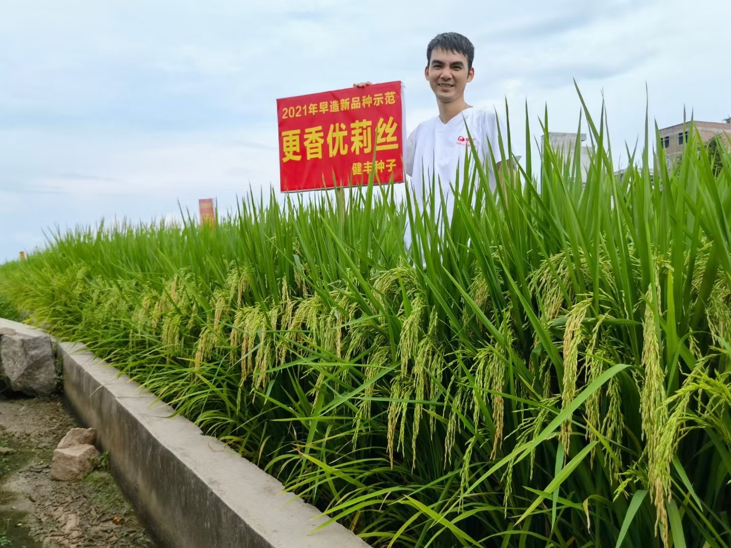 更香优莉丝